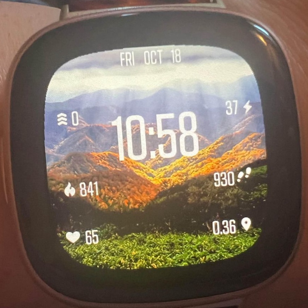 Rose Gold Versa 4